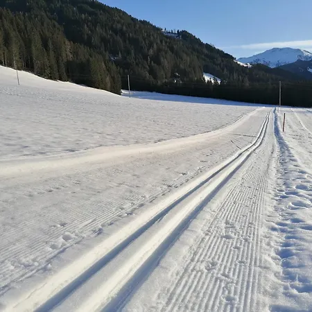 דירה Gittis Panorama Wild31 *